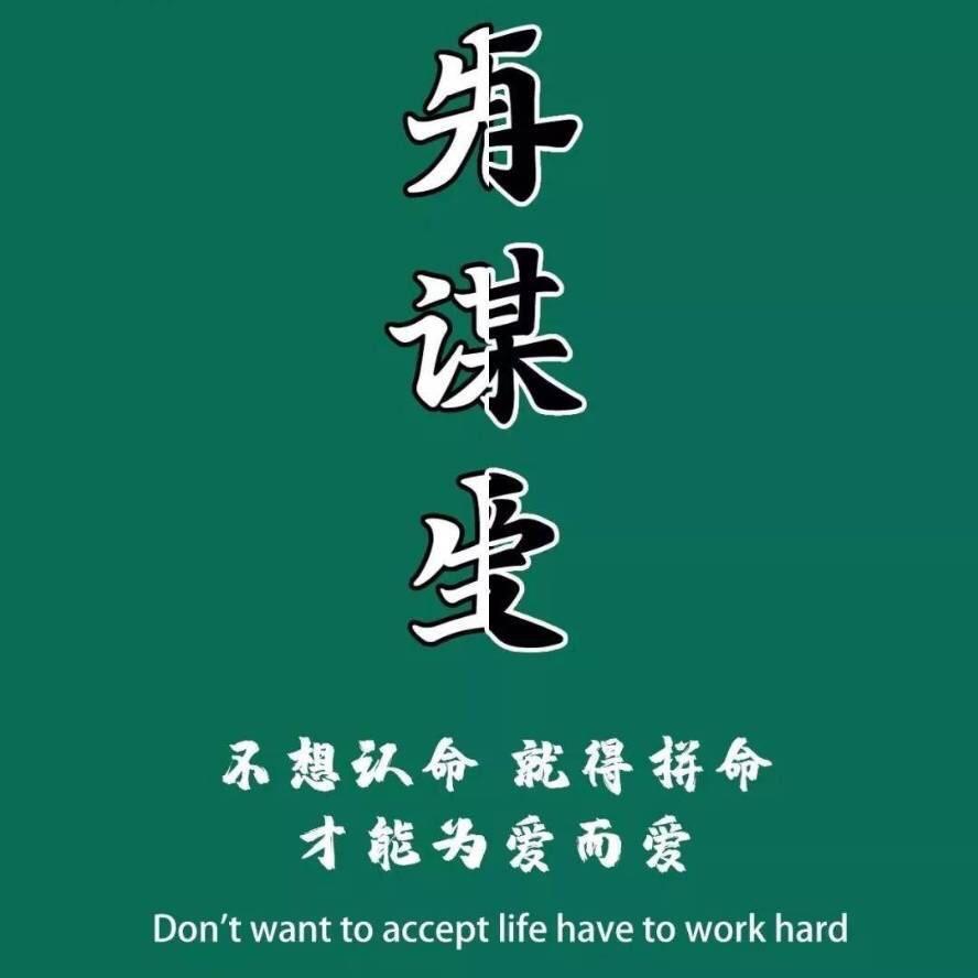 淡    定