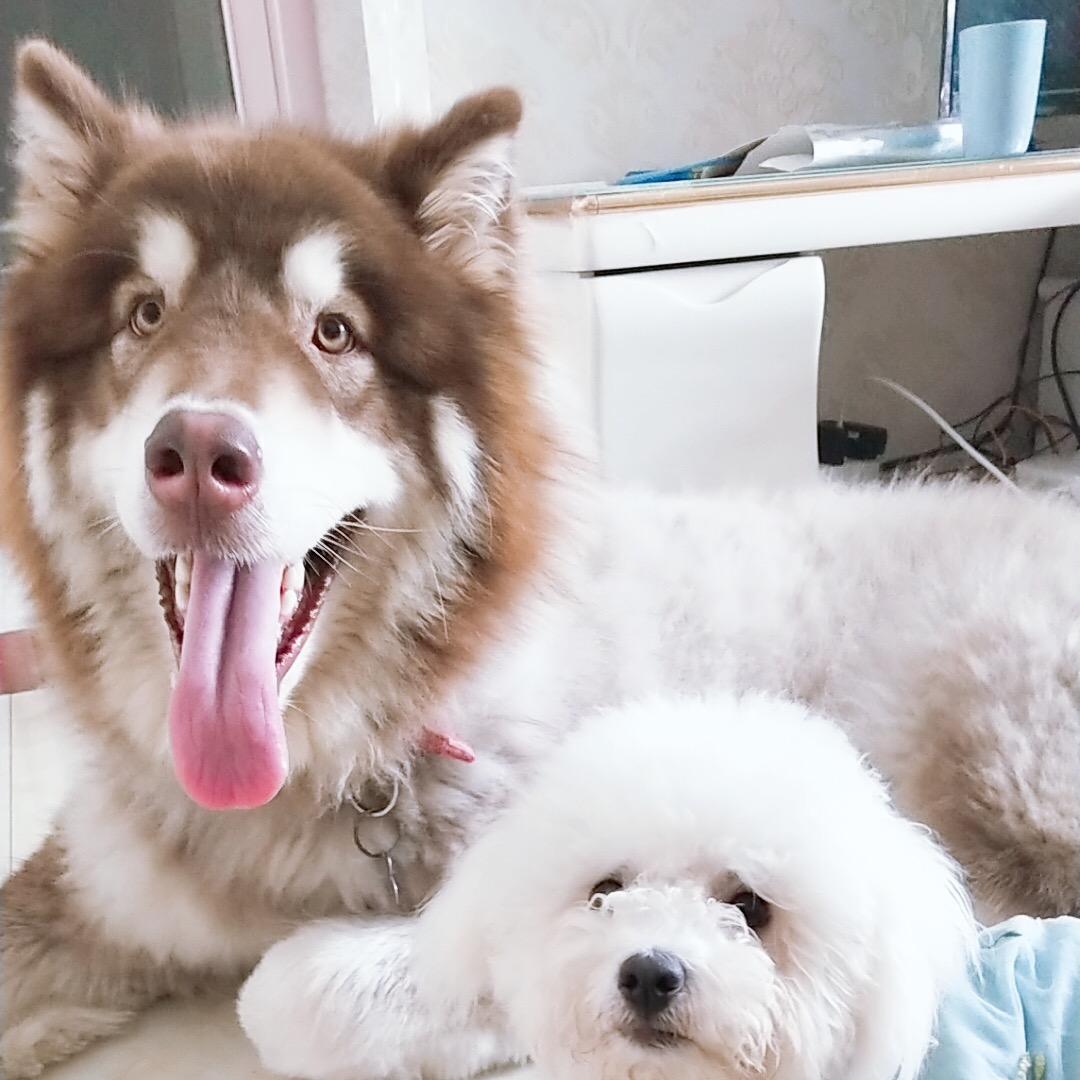 生活需要微笑-