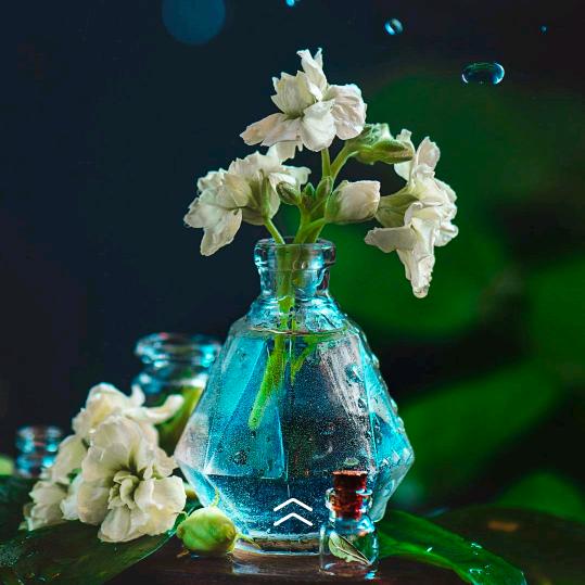 绿树成荫