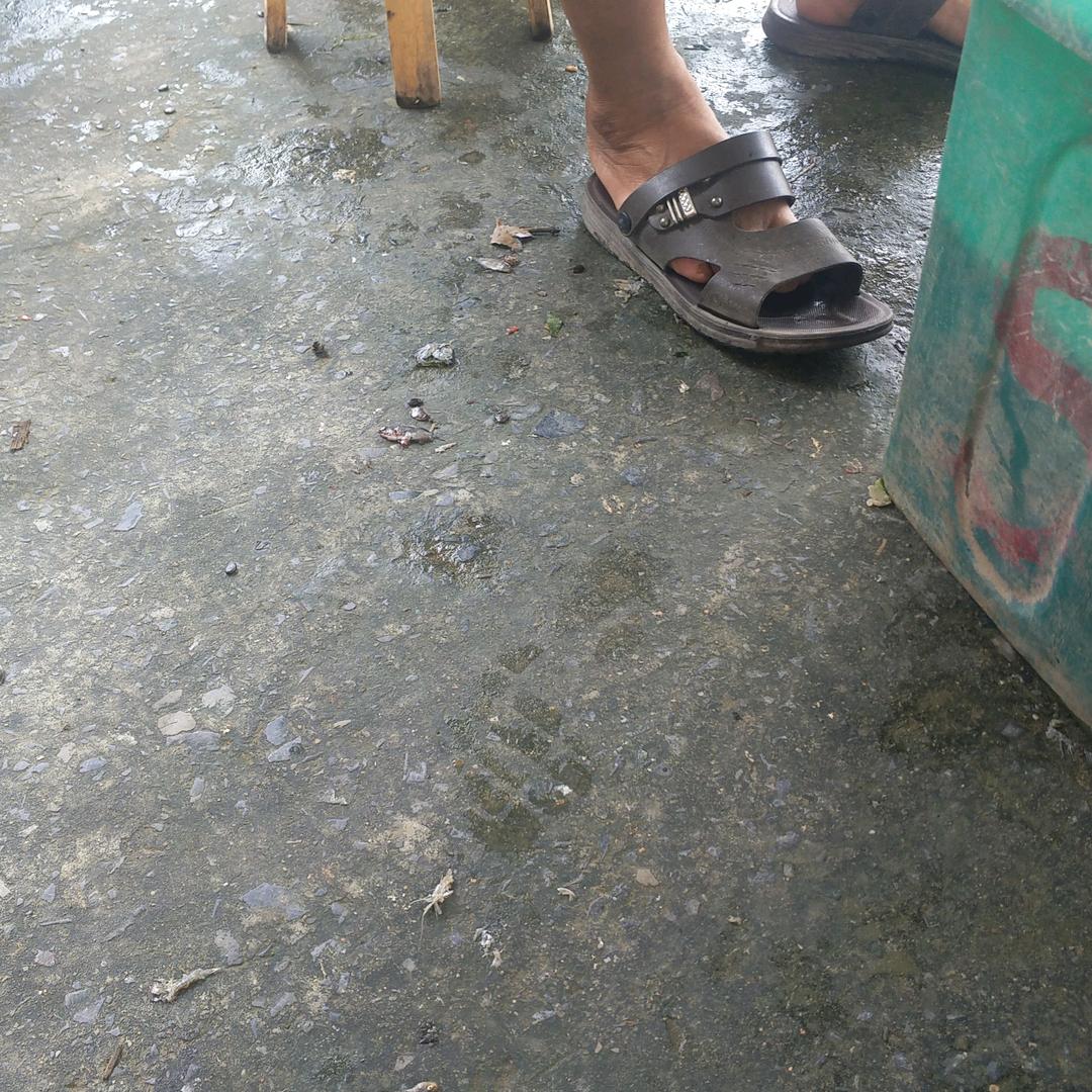 田玲云