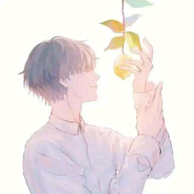 星衍⭐