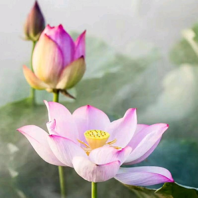 与你同行