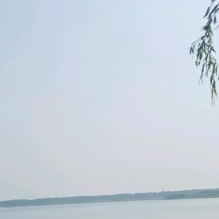 杨顺先生