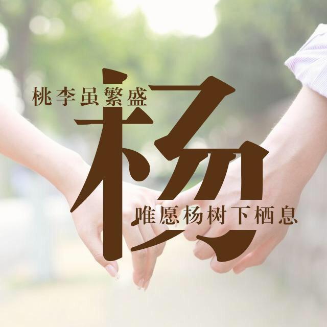 杨芹