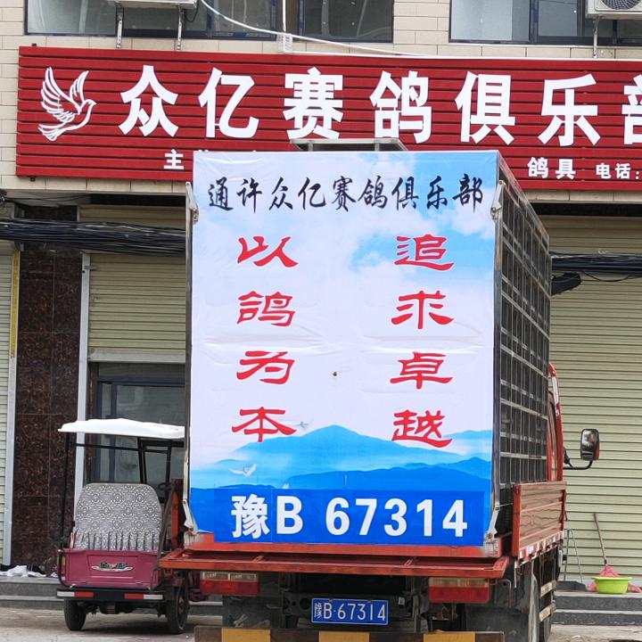众亿赛鸽~孙振豪