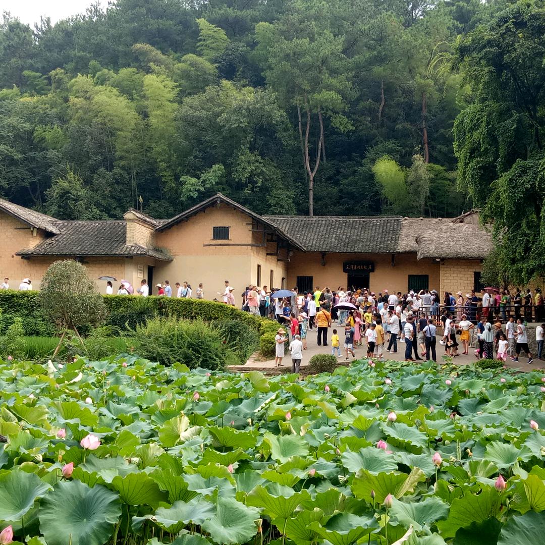 彪哥