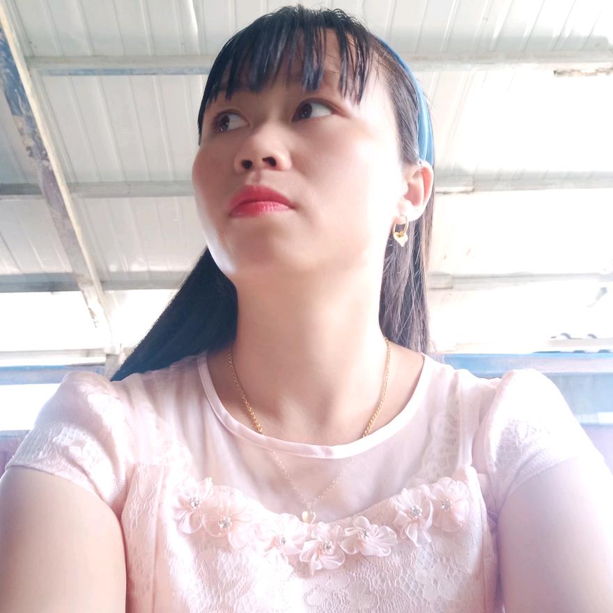 洪琴力会盼林莹、盧家丫头