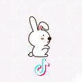 莱斯plus