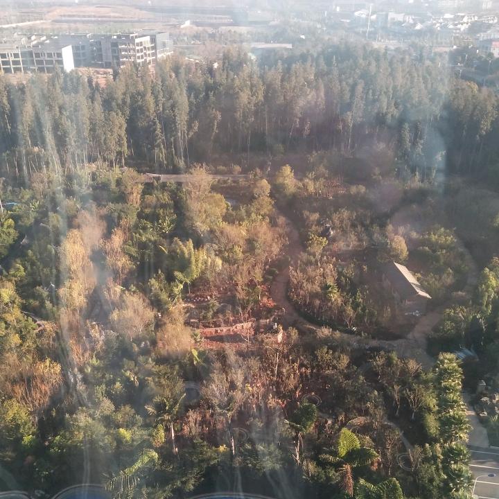 陪他走