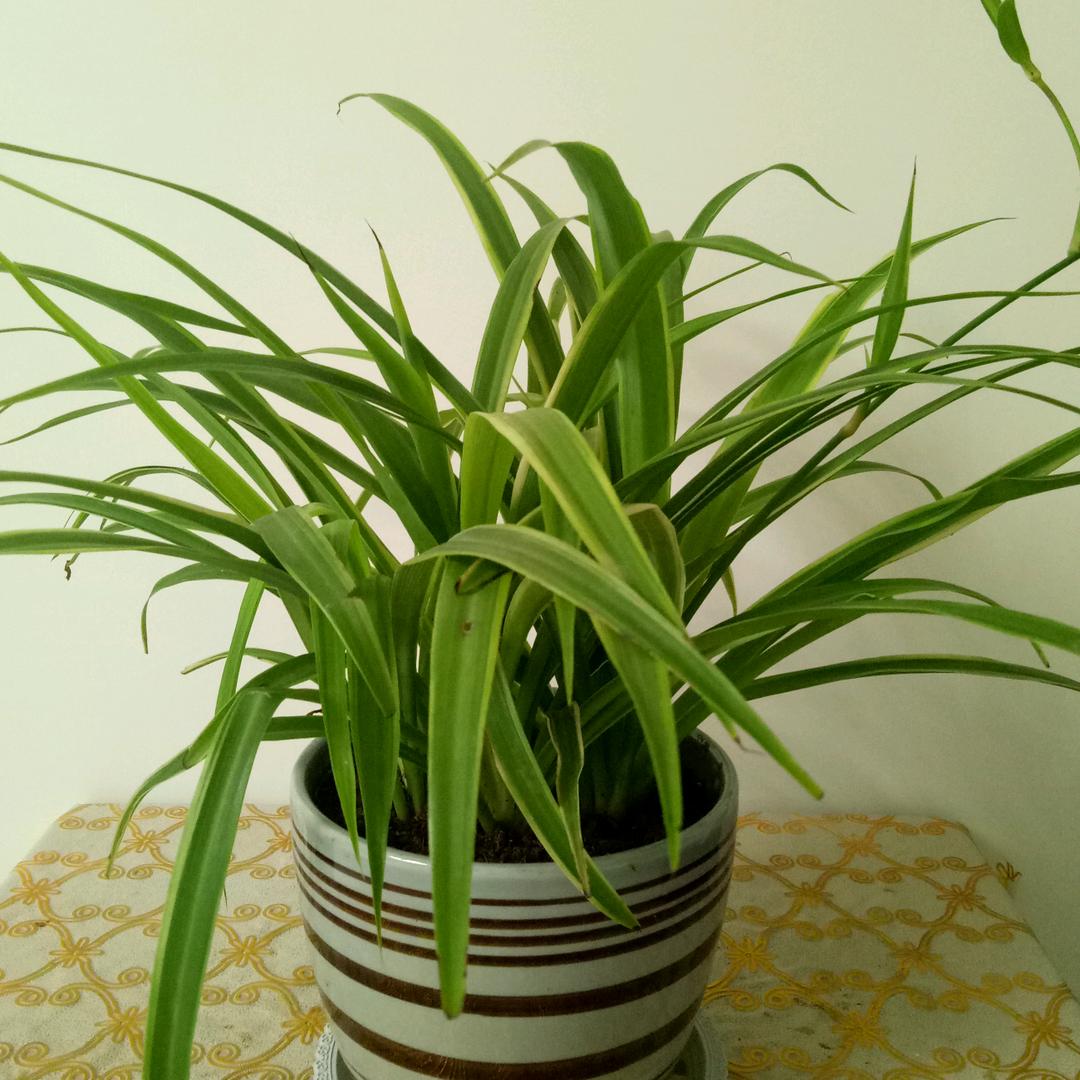 ꧁心累了就学会沉默꧂