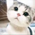 人生格言