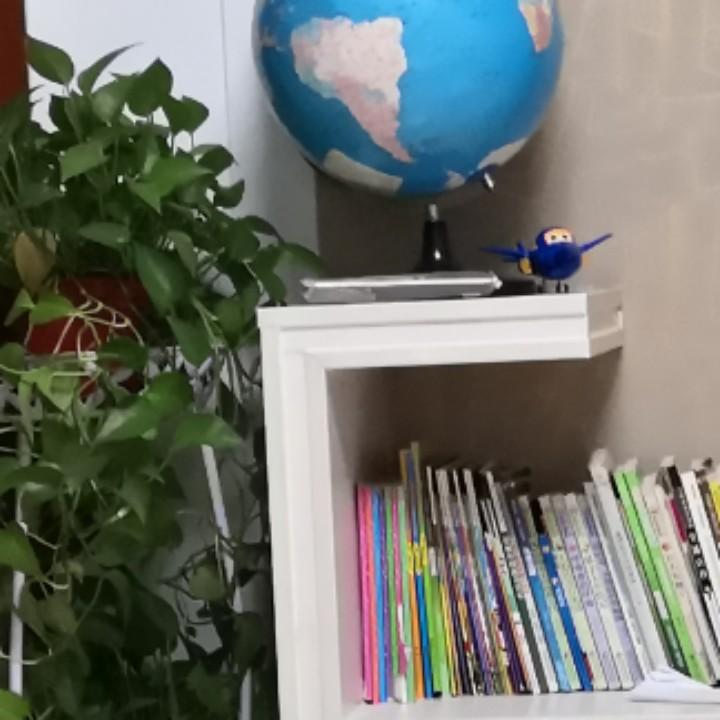 果不祺然
