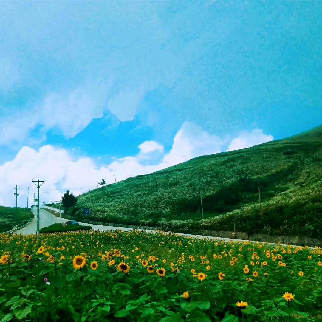 用户8770562917233奇怪的你