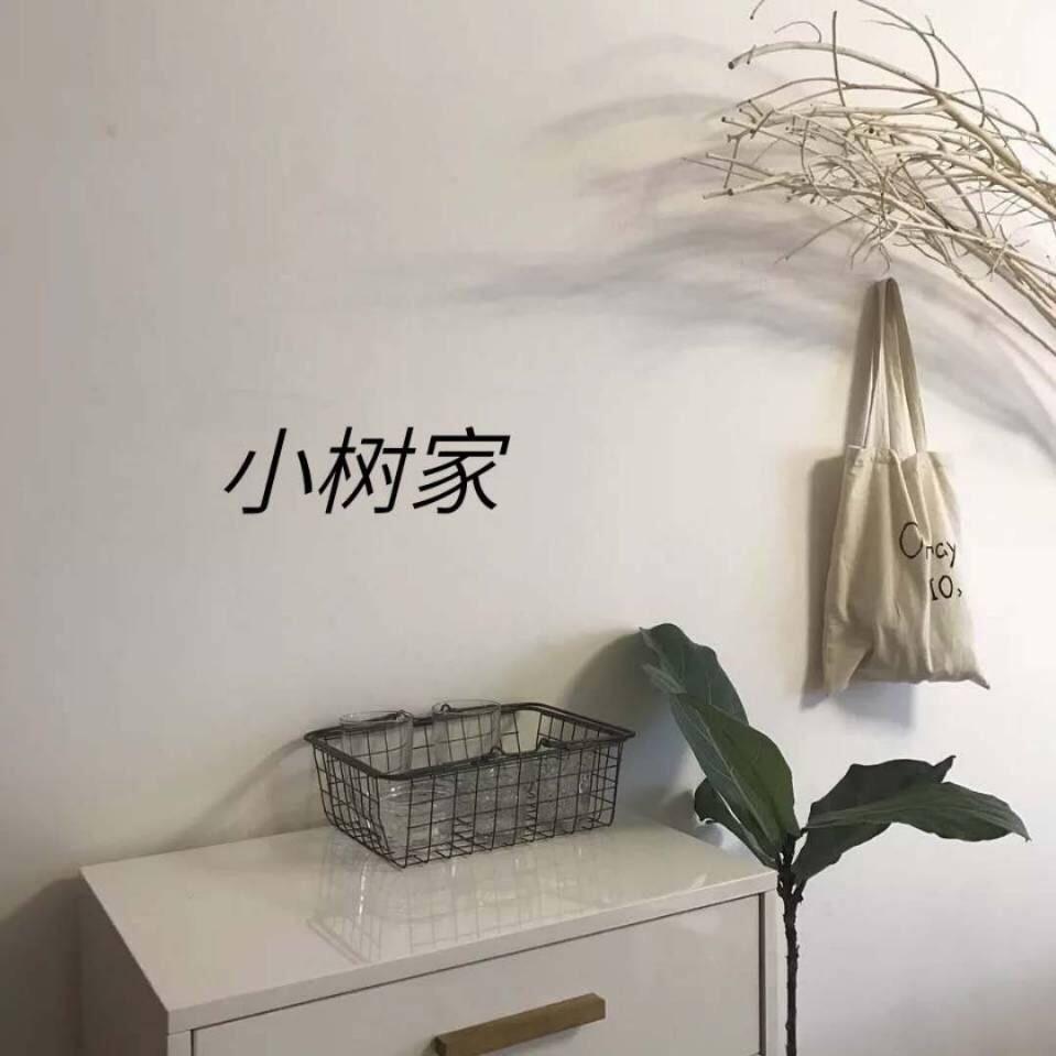 兰陵县小树家女装店