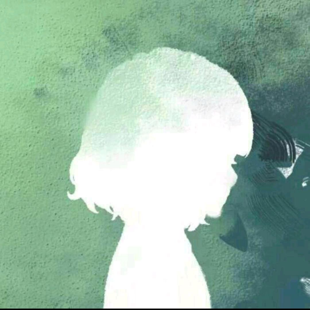 萌宝