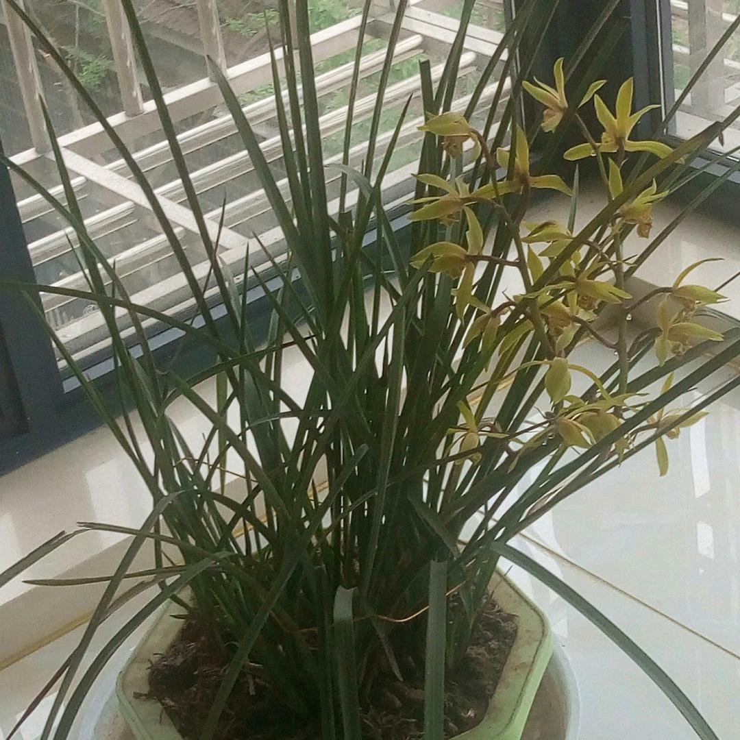 用户5475621998390