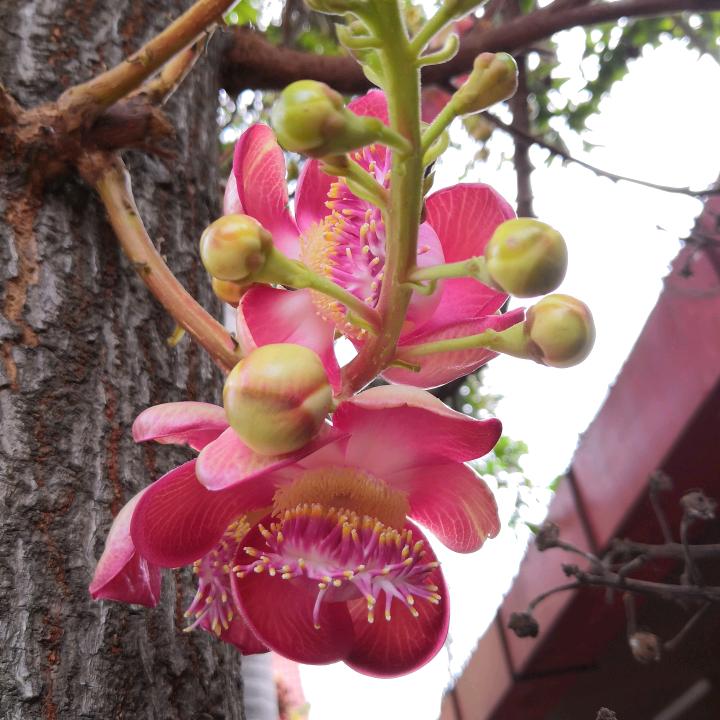 小可爱（拒绝私聊）