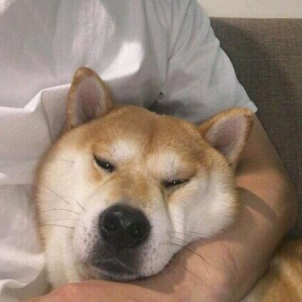 阿彻爱吃肉