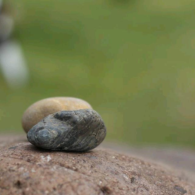 我是小石头