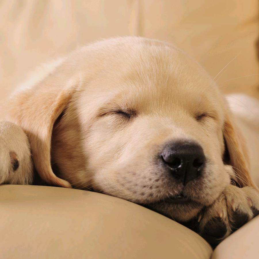 你的🌙，我的♥️