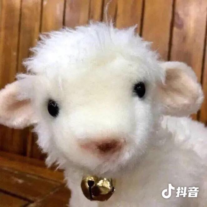 吃炸鸡的羊