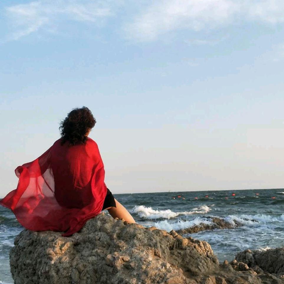 自由飞翔的海鸥