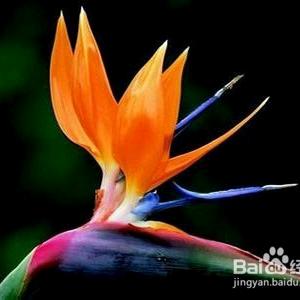 暖妈@70@80后经典老歌