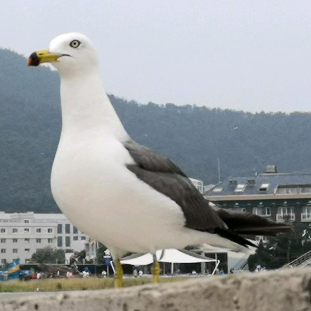 快乐闲人