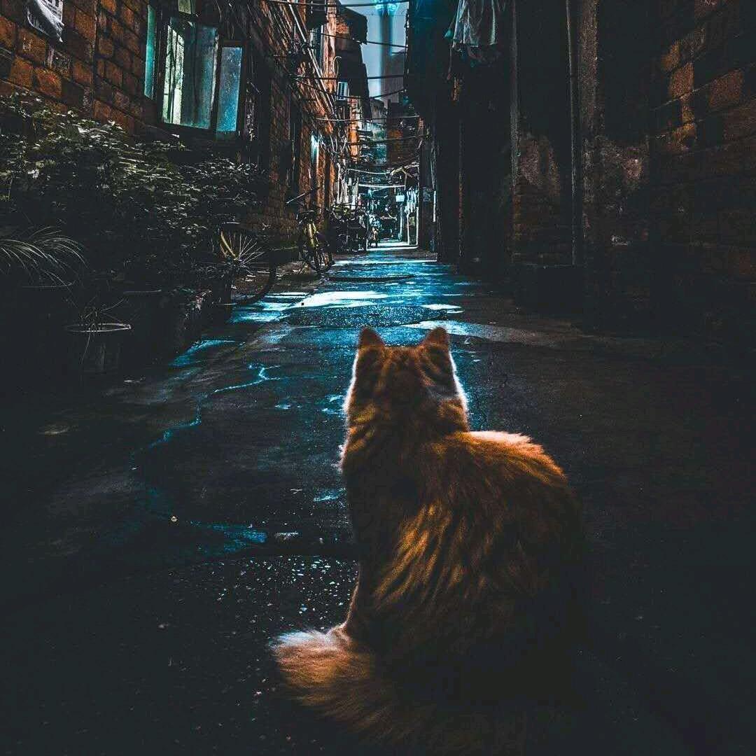 co