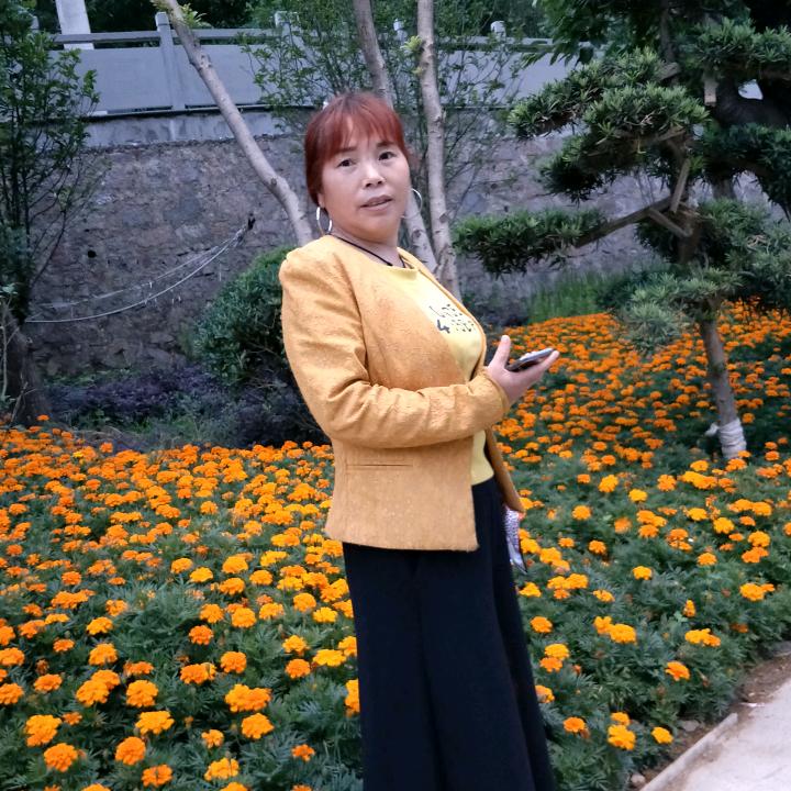 真心曾