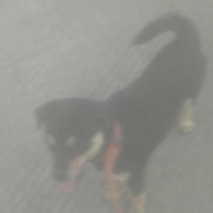 遗失