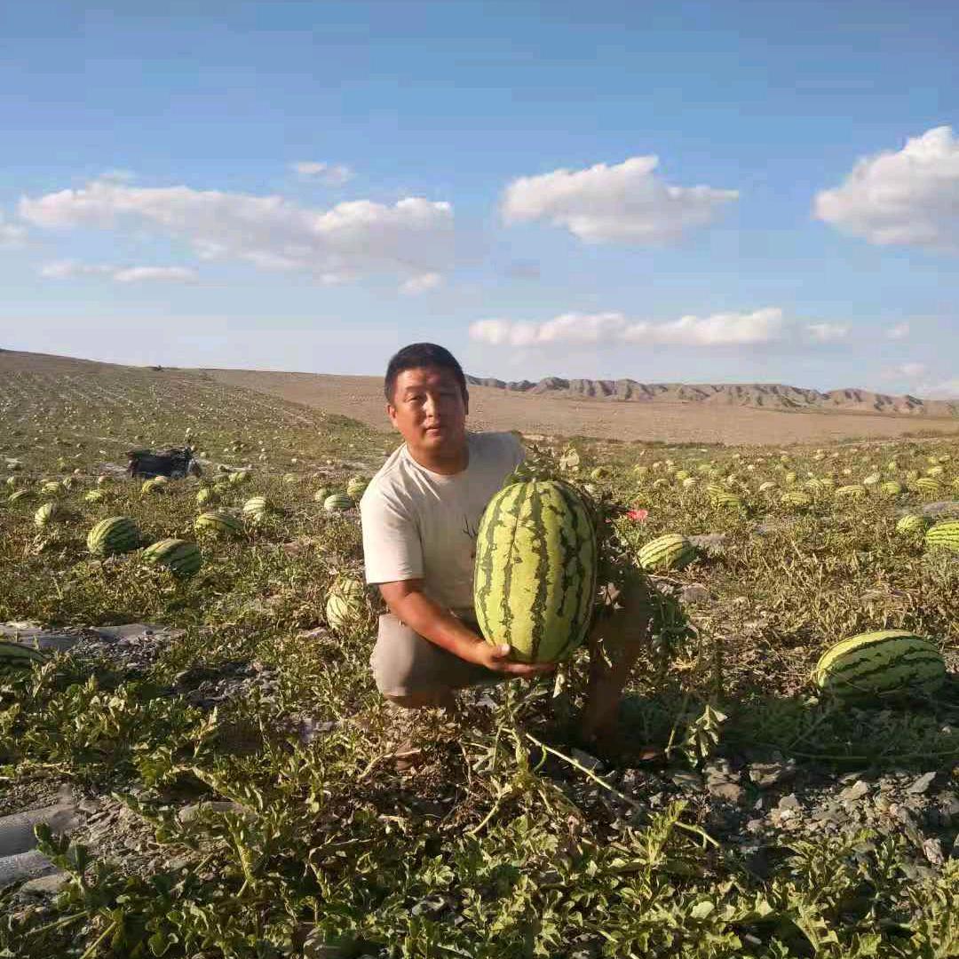 旭发农产品购销