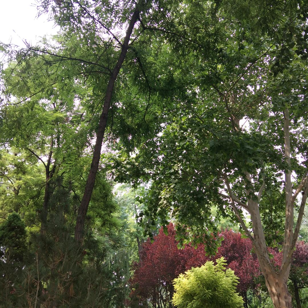 快乐幸福123