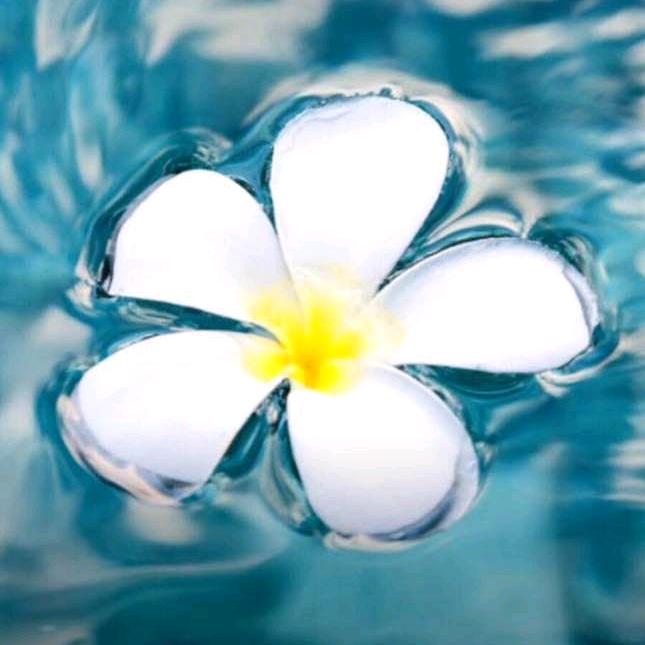 花语