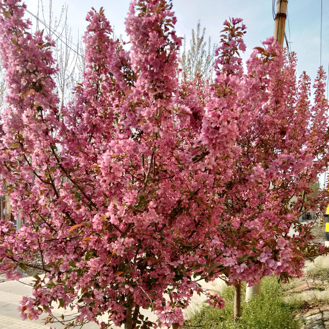 新起点理发盘发