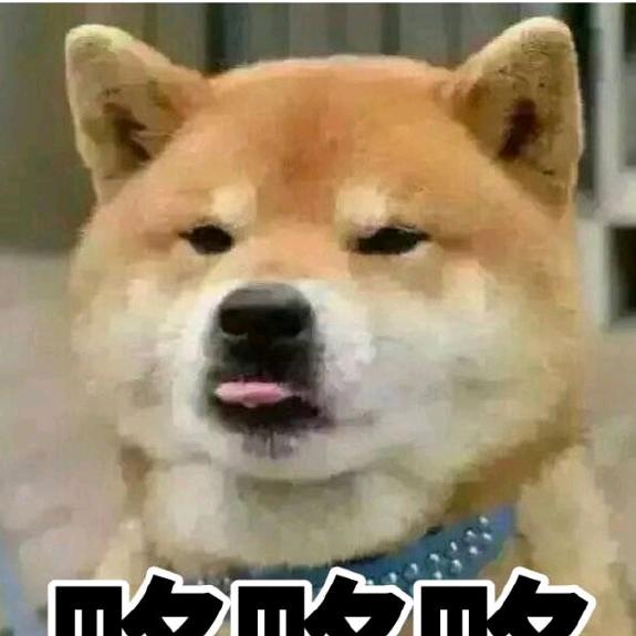 钢丿板