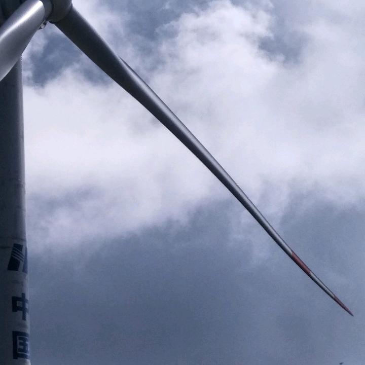 重庆打工人(T)