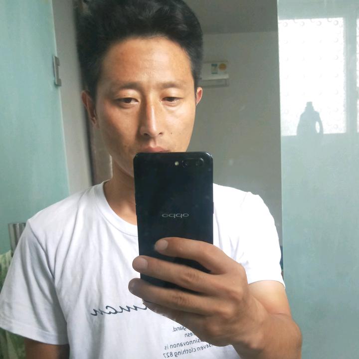 勤奋的酉鸡