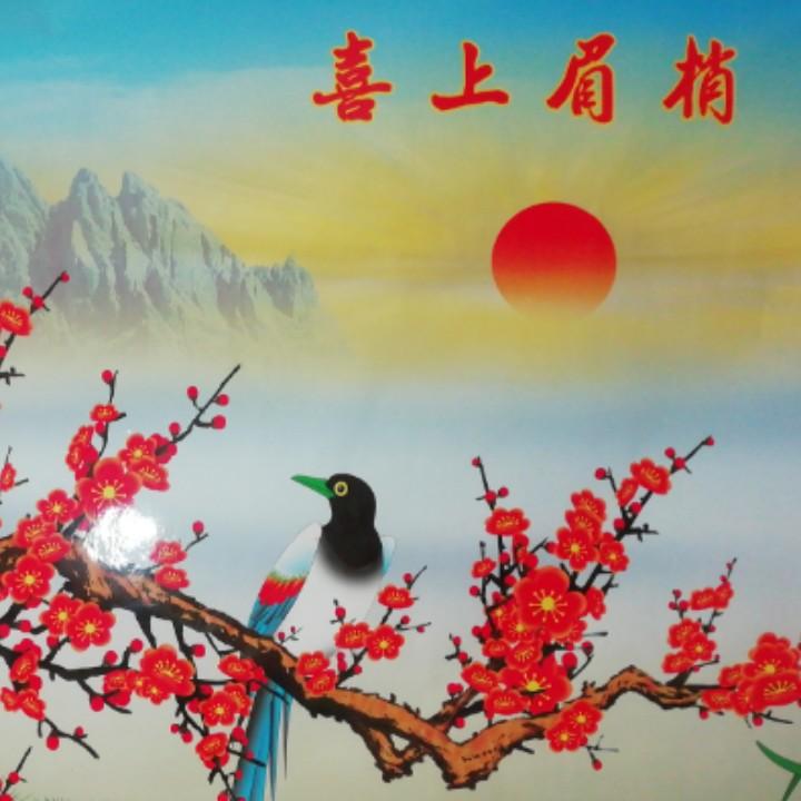 珍惜青春年华4658751887114