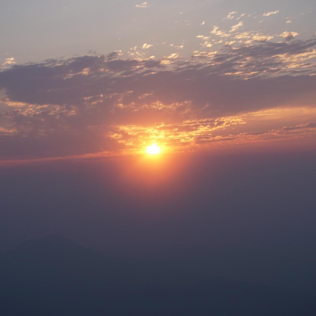 爱去旅行的孩子🔥