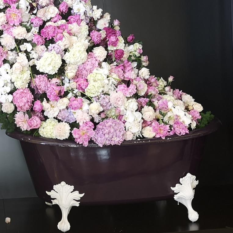 楚楚的花园