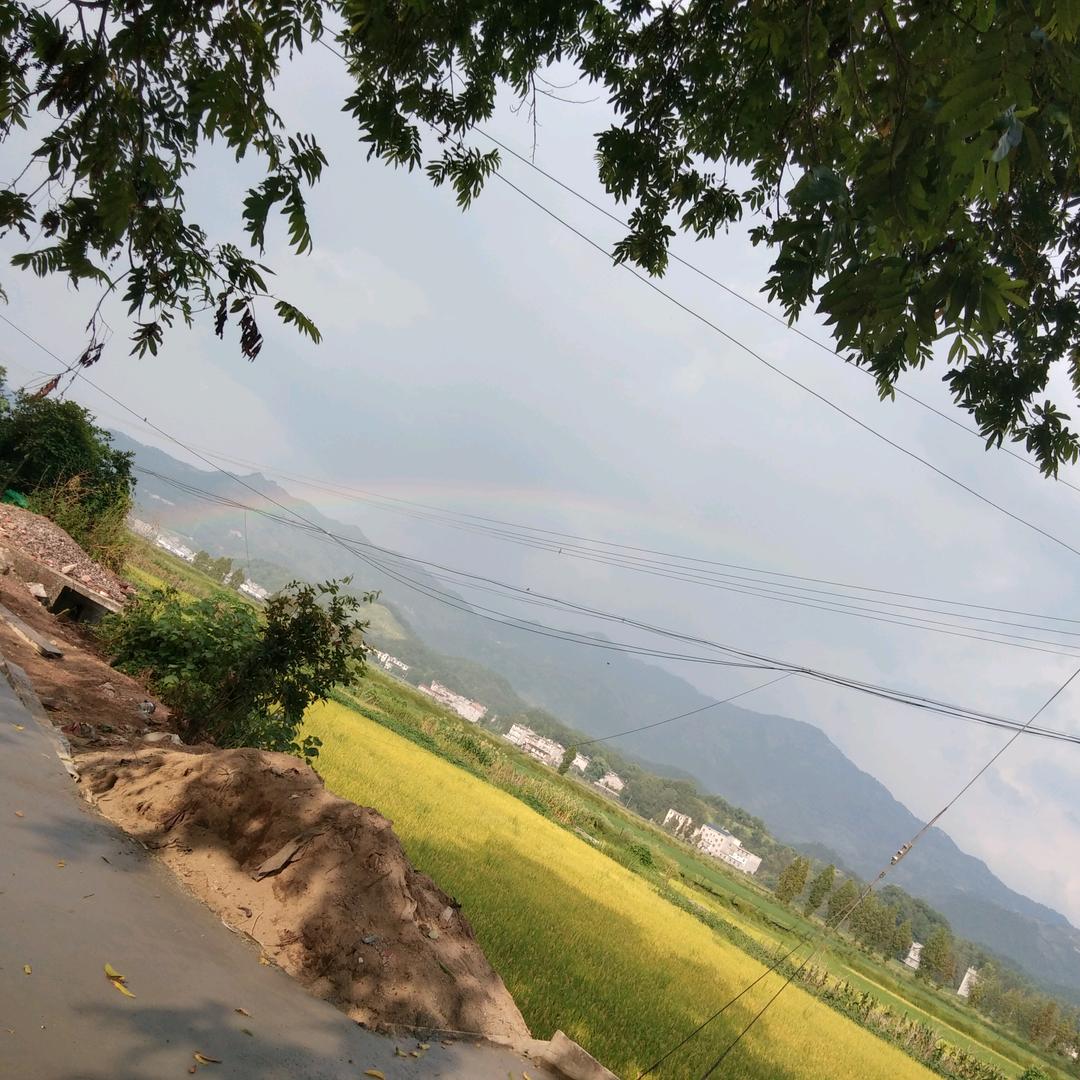 阿梅