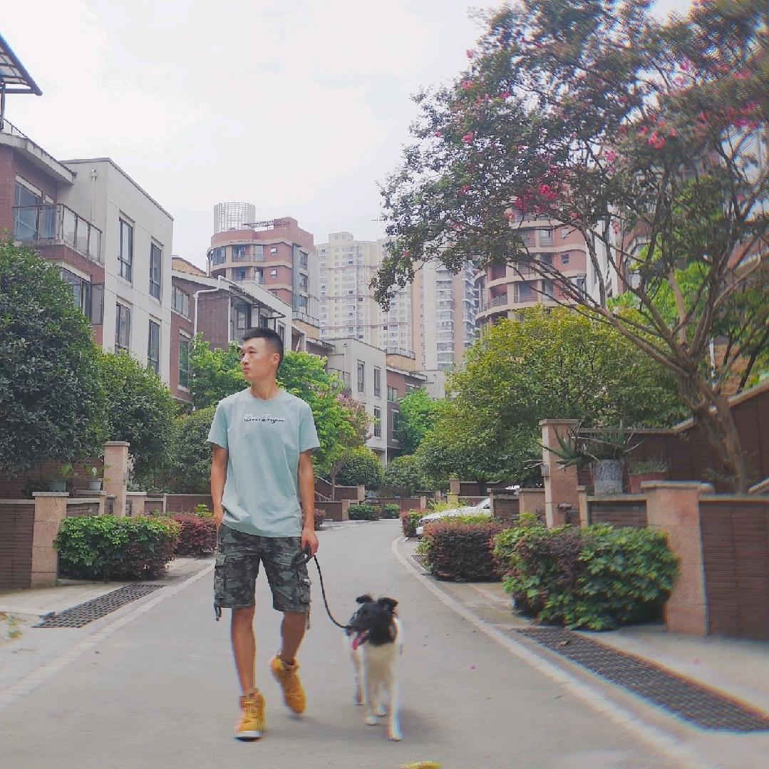 成都训犬师阿刚