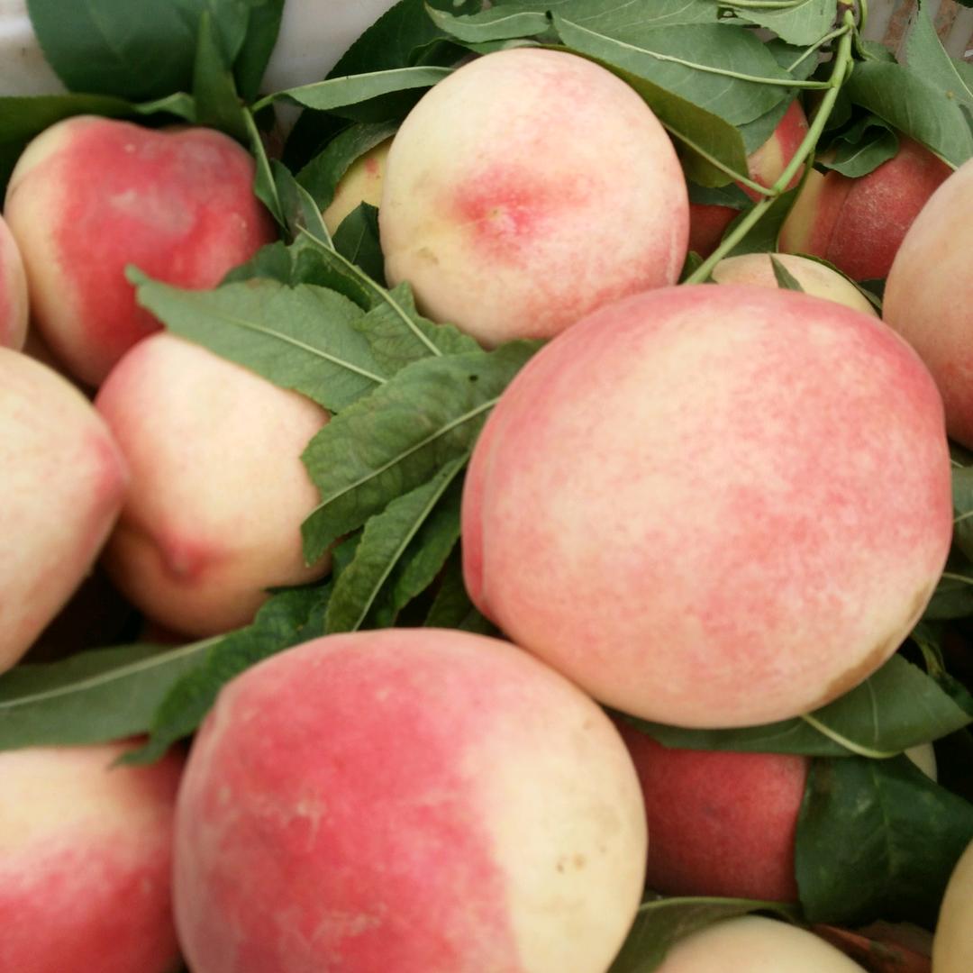 开心快乐每一天