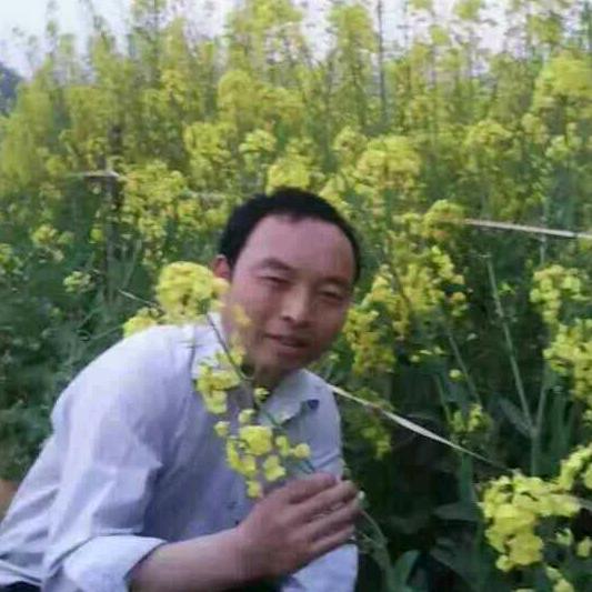 团圆