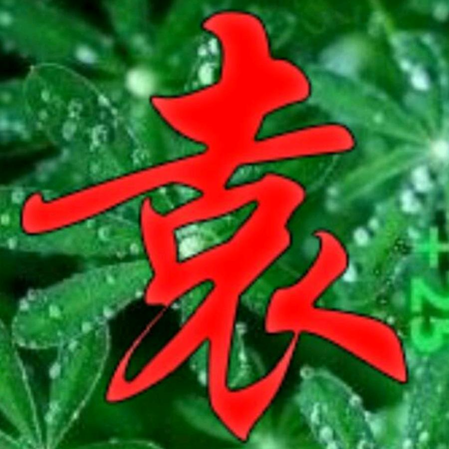 马到成功
