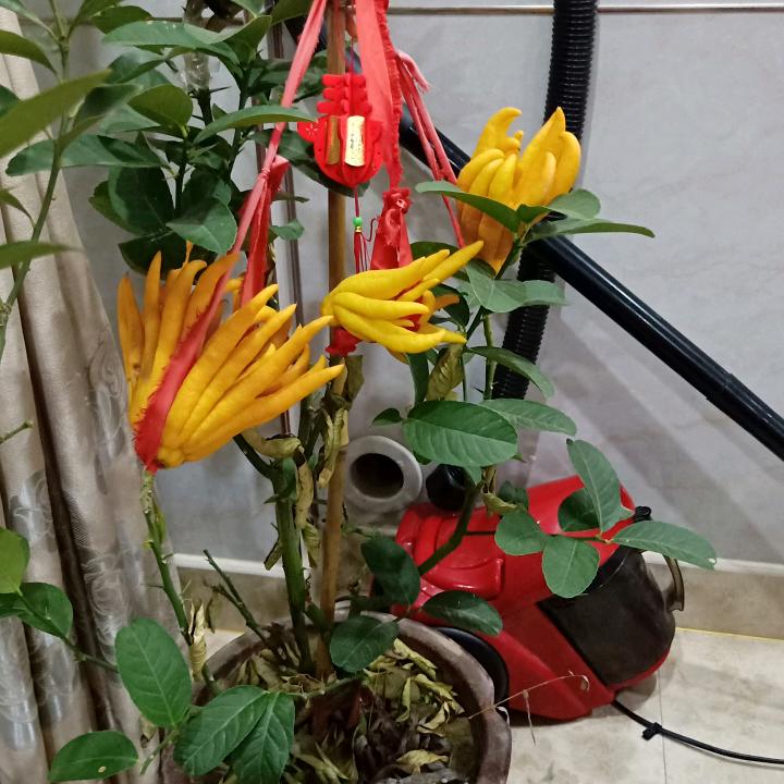 你若安好，我便是晴天