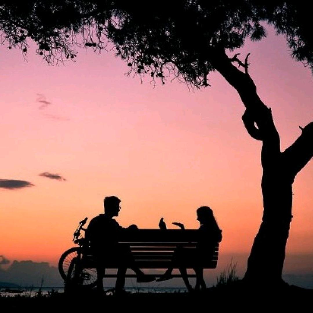 yl室内装修设计