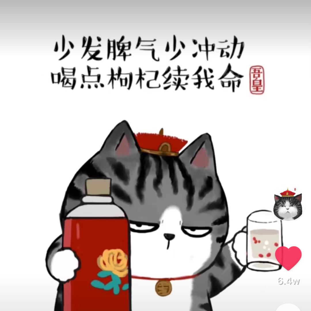 三个猪猪的饲养员