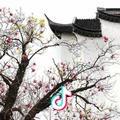 中华